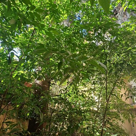 卢卡 La Colonna酒店 外观 照片